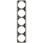 Jung - Cadre de fintion 5 postes / Série CD 500 Platine