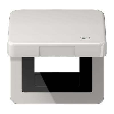 Jung - Enjoliveur couvercle symbole USB / Série CD 500 Gris clair