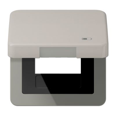 Jung - Enjoliveur couvercle symbole USB / Série CD 500 Platine