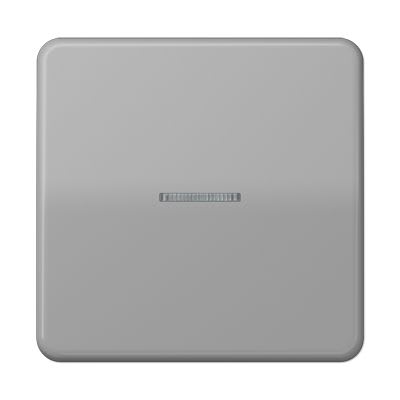 Jung - Enjoliveur simple touche à voyant / Série CD 500 Gris