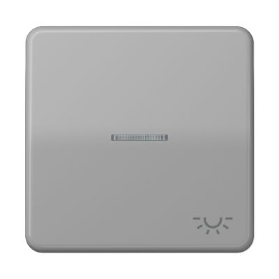 Jung - Enjoliveur avec symb "lumière" à voyant / CD 500 Gris