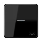 Jung - Enjoliveur avec symb "lumière" à voyant / CD 500 Noir