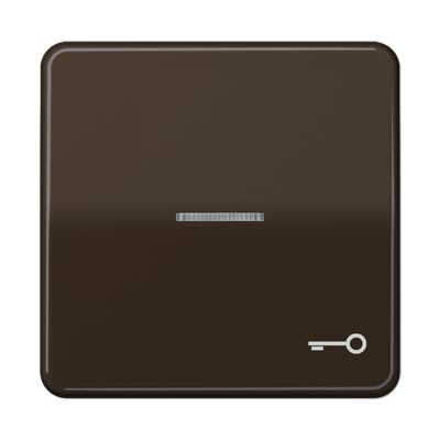 Jung - Enjoliveur avec symb "gâche" à voyant / CD 500 Brun