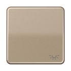 Jung - Enjoliveur avec symbole "lumière" / CD 500 Bronze