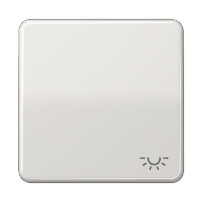 Jung - Enjoliveur avec symbole "lumière" / CD 500 Gris clair