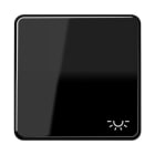 Jung - Enjoliveur avec symbole "lumière" / CD 500 Noir