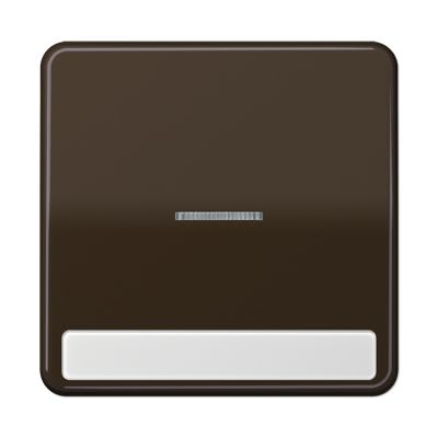 Jung - Enjoliveur simple touche porte étiquette & témoin / CD 500 Brun