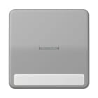 Jung - Enjoliveur simple touche porte étiquette & témoin / CD 500 Gris