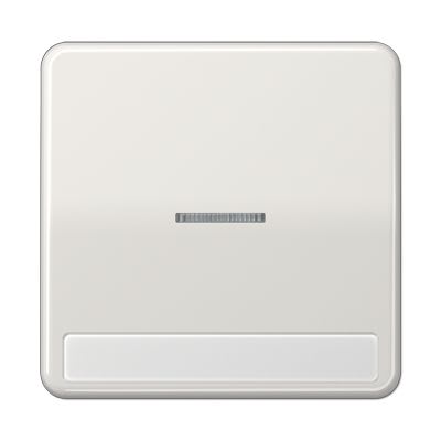 Jung - Enjoliveur simple touche porte étiquette & témoin / CD 500 Gris clair