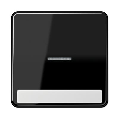 Jung - Enjoliveur simple touche porte étiquette & témoin / CD 500 Noir