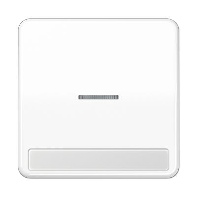 Jung - Enjoliveur simple touche porte étiquette & témoin / CD 500 Blanc