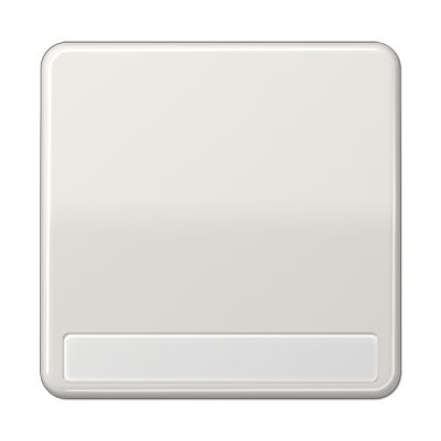 Jung - Enjoliveur simple touche porte étiquette / CD 500 IP44 Noir