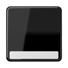 Jung - Enjoliveur simple touche porte étiquette / CD 500 Noir