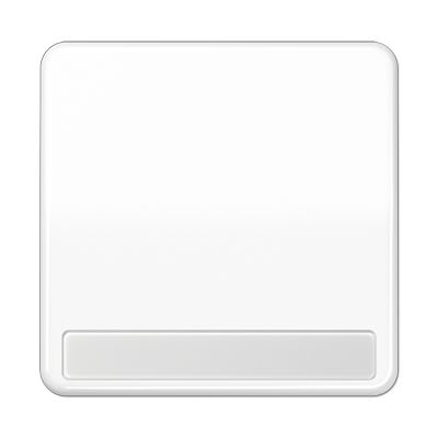 Jung - Enjoliveur simple touche porte étiquette / CD 500 Blanc