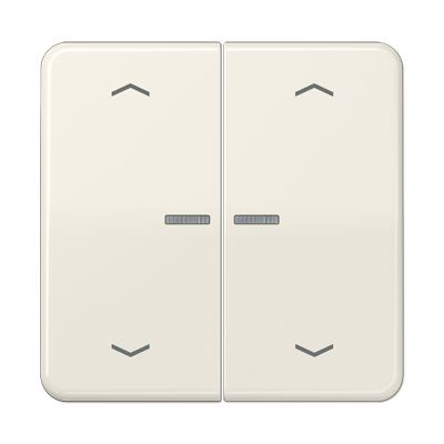 Jung - Enjo pour double IN et BP a voyant - CD 500 Ivoire