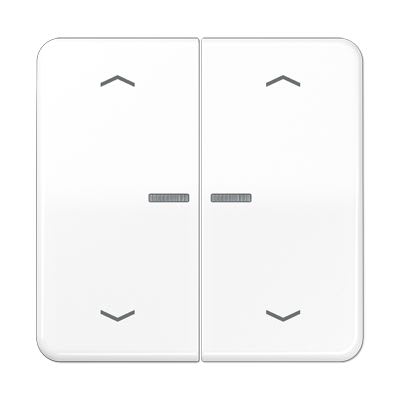 Jung - Enjo pour double IN et BP a voyant - CD 500 Blanc