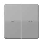 Jung - Enjoliveur double touche IN+BP VR-store / CD 500 IP44 Gris