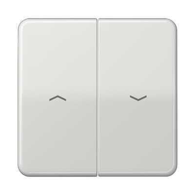 Jung - Enjoliveur double touche IN+BP VR-store / CD 500 IP44 Gris clair