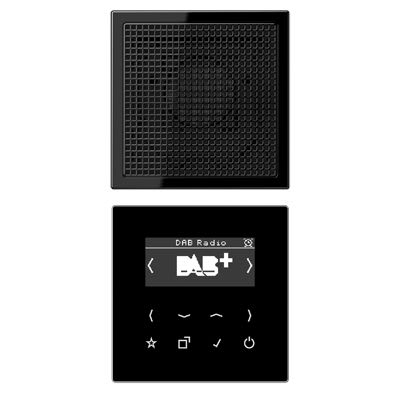 Jung - Smart Radio DAB+ kit Mono / LS 990 Noir