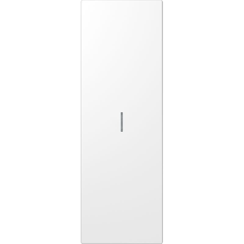 Jung - Touche grande taille avec diffuseur / LS 990 Métal Inox laqué blanc