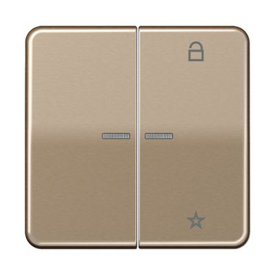 Jung - Enj eNet RF pour cde éclairage / CD500 Brz