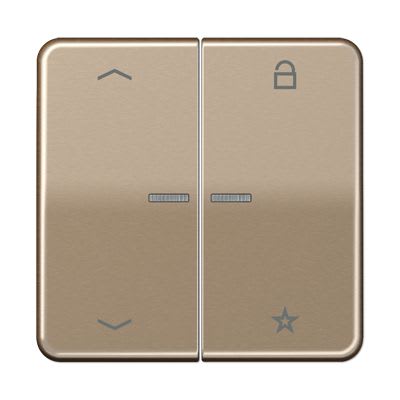 Jung - Enj eNet RF pour cde VR-Store / CD500 brz