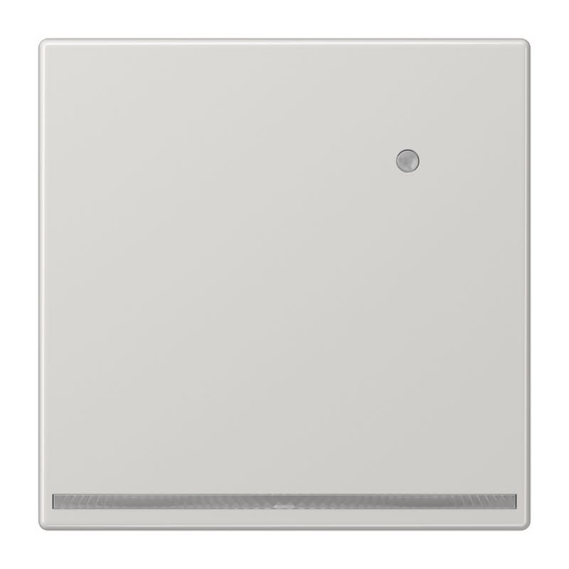 Jung - Dispositif lumineux d'orientation LED avec capteur / LS 990 Gris clair