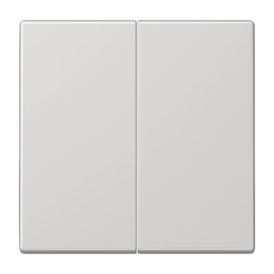 Jung - Enjoliveur 2 voies pour mécanisme variapush 1712DE / LS990 Gris clair