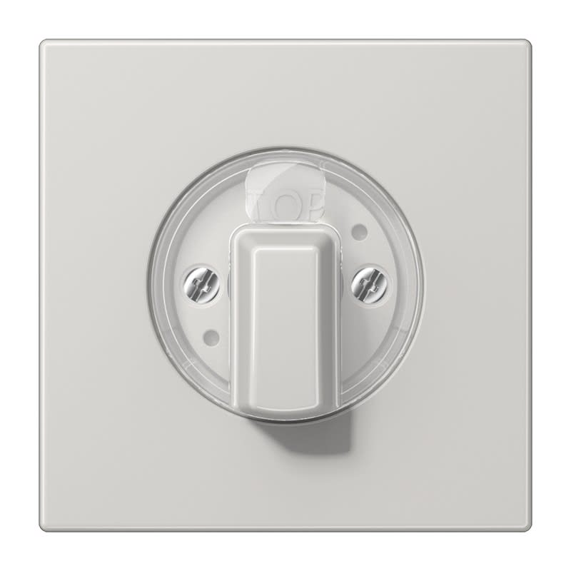 Jung - Enjoliveur pour interrupteur rotatif / LS 990 Gris clair