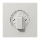 Jung - Enjoliveur pour interrupteur rotatif / LS 990 Gris clair