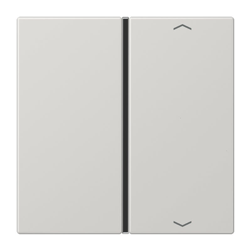 Jung - Touche 1 voie avec flèches platine F40 / LS 990 Gris clair