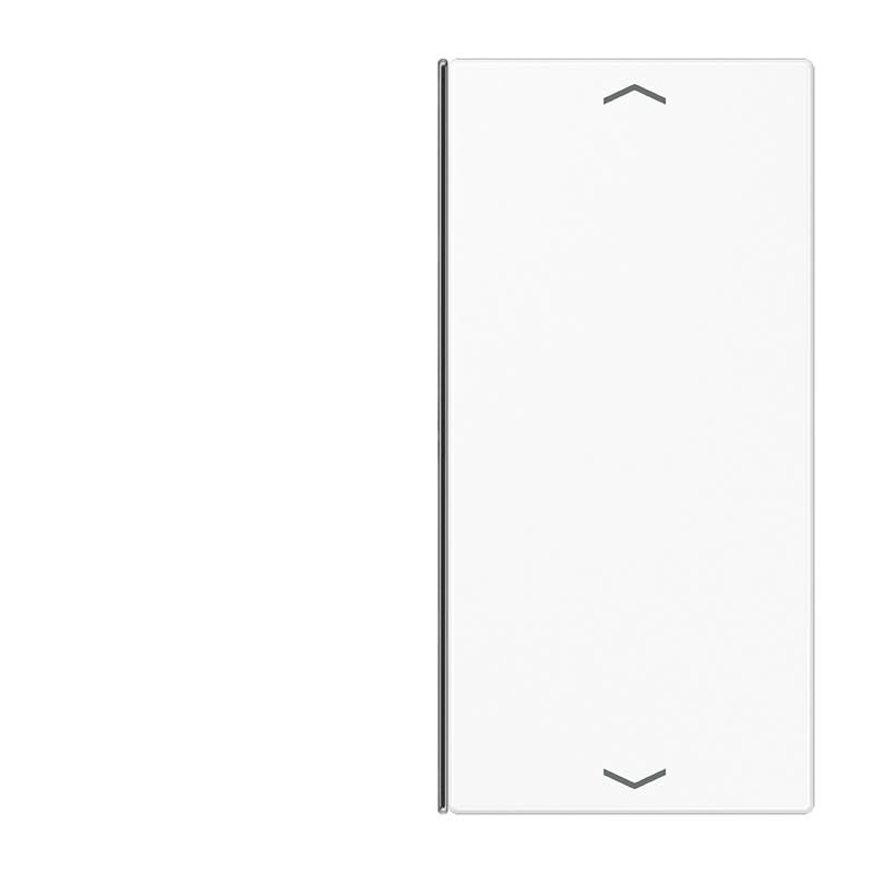 Jung - Touche 2 voies avec flèches platine F40 / LS 990 Blanc