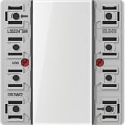 Jung - Platine de cde 2 voies 24 V AC/DC avec 4 points de commande - LS 990