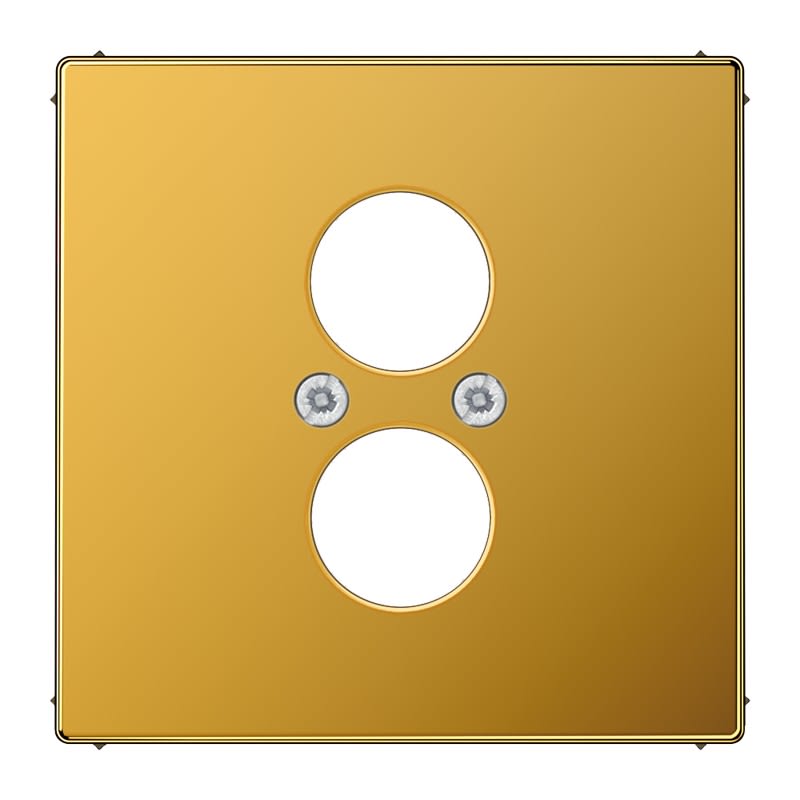 Jung - Enjoliveur de finition pour 2 connecteurs mini fiches / LS 990 Or