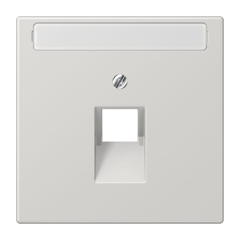 Jung - Enjoliveur pour prise IAE/UAE / LS 990 Gris clair