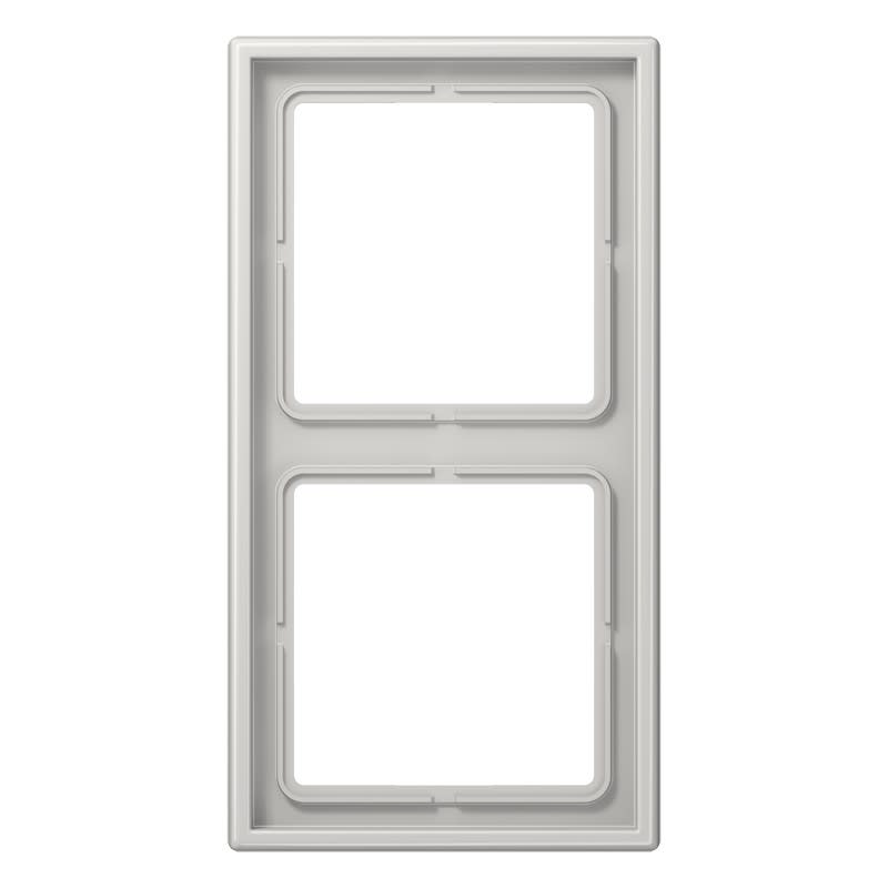 Jung - Cadre 2 postes / LS 990 Gris clair