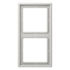 Jung - Cadre 2 postes / LS 990 Gris clair