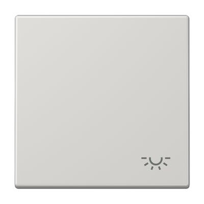 Jung - Enjo avec symbole "lumière" / LS 990 Gris clair