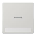 Jung - Enjoliveur simple touche porte étiquette & témoin / LS 990 Gris clair