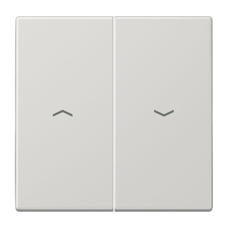 Jung - Enjoliveur double touche IN+BP VR-store / LS 990 Gris clair