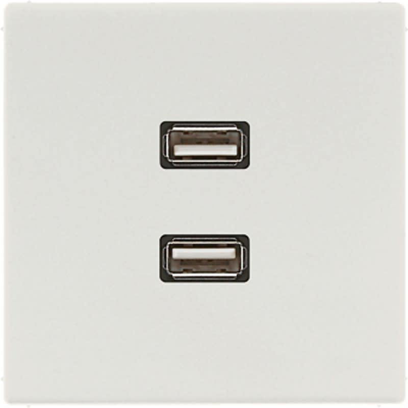 Jung - Connecteur Multimédia 2 x USB 2.0 / LS 990 Gris clair