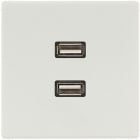 Jung - Connecteur Multimédia 2 x USB 2.0 / LS 990 Gris clair