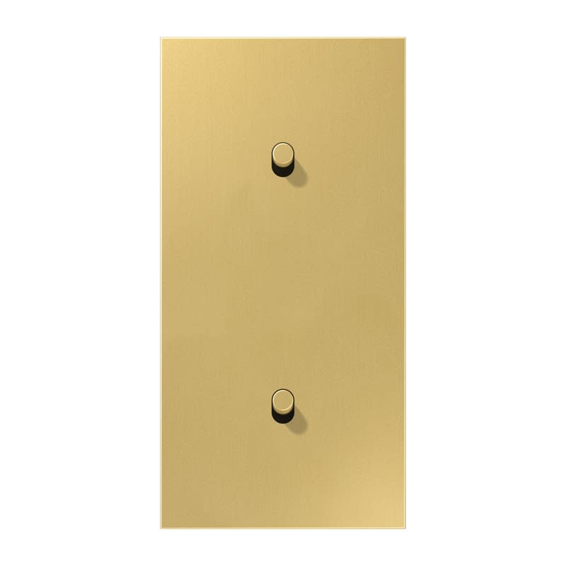Jung - Enjoliveur 2 modules vertical avec 1+1 leviers Cylindre / LS 1912 Laiton doré