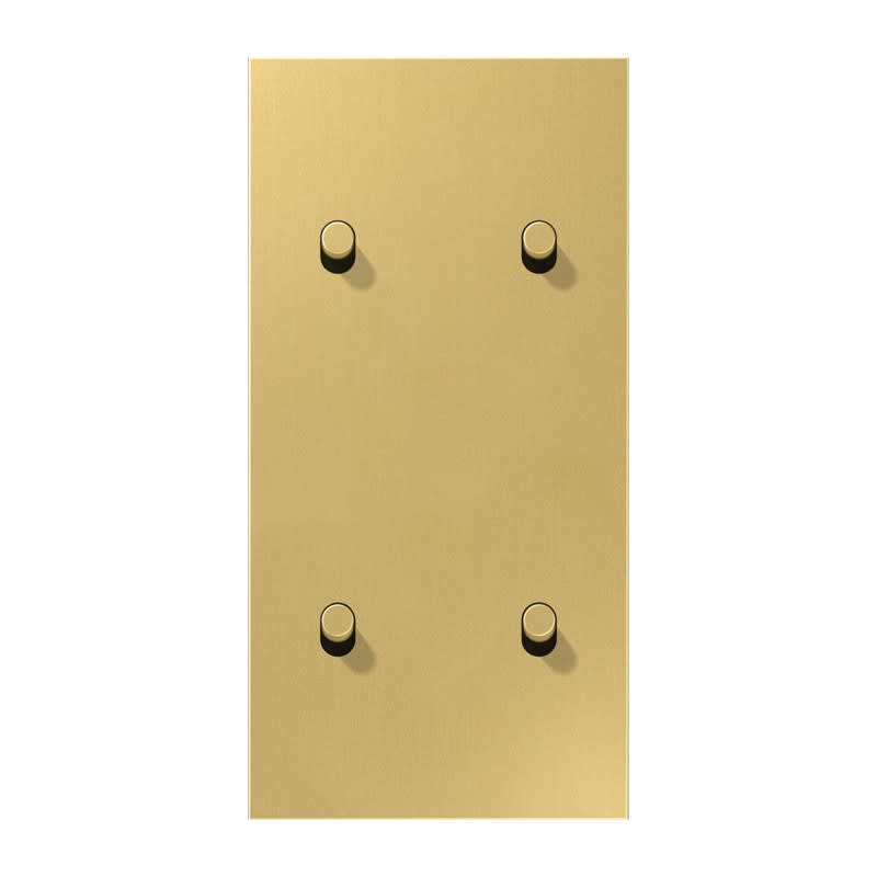 Jung - Enjoliveur 2 modules vertical avec 2 + 2 leviers Cylindre / LS 1912 Laiton doré