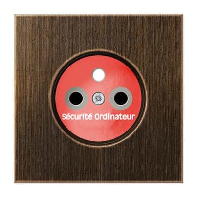 Jung - Enjoliveur prise de courant 2P+T "circuit info"pour mécanisme 152...x