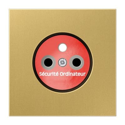 Jung - Enjoliveur prise de courant 2P+T "circuit info"pour mécanisme 152...x