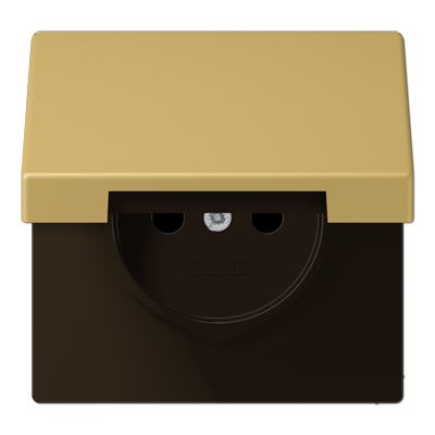 Jung - Enjo prise 2P+T avc couvercle / LS990 IP44 Laiton doré