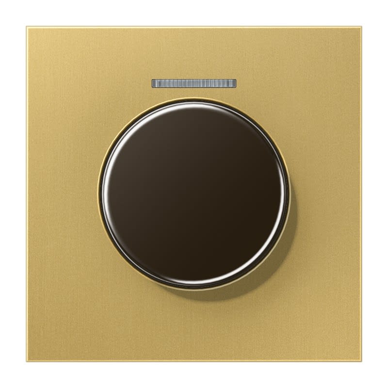 Jung - Enjoliveur rotatif pour DS4092TS avec diffuseur / LS 990 Laiton doré