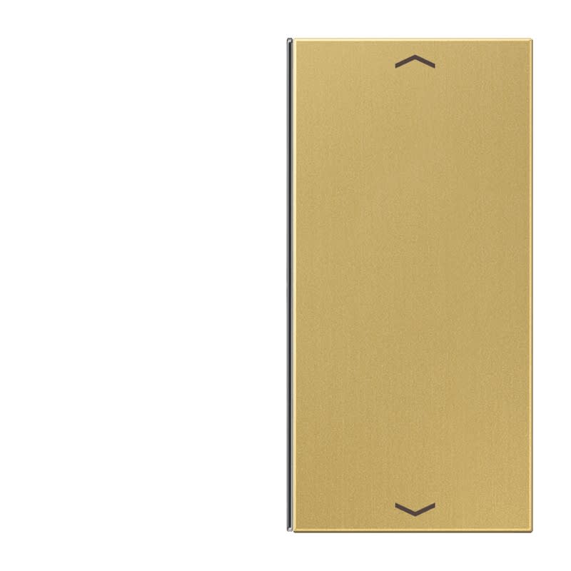 Jung - Touche 2 voies avec flèches pour platine F40 / LS 990 Laiton doré