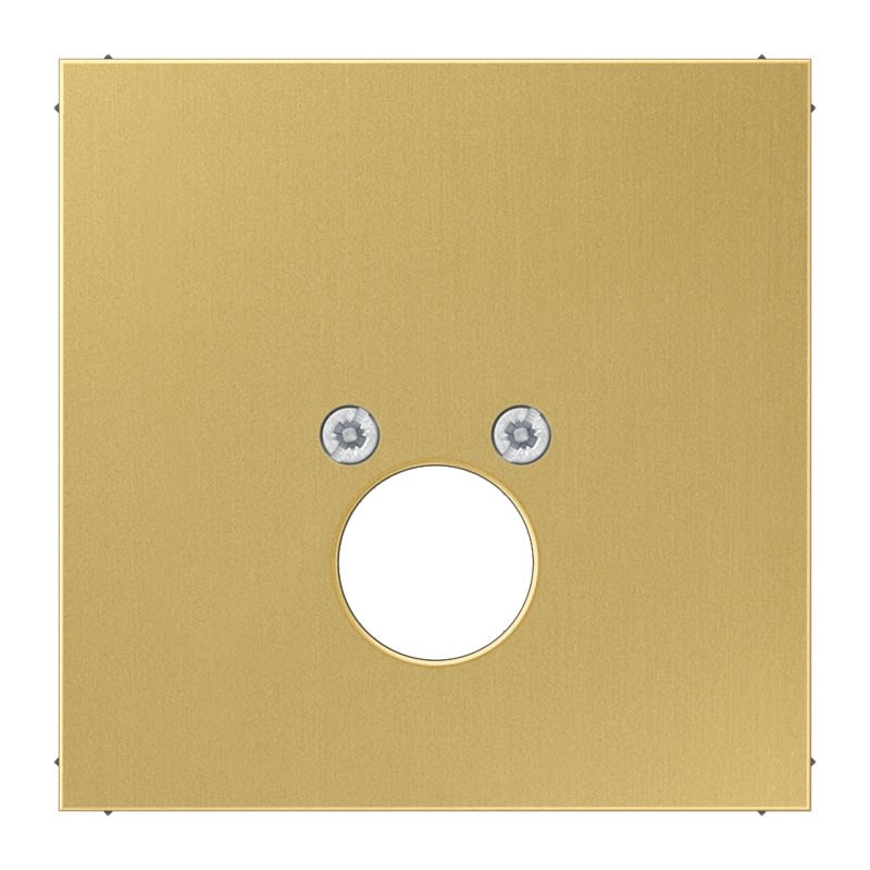Jung - Enjoliveur pour 1 mini fiche 63WBT et LKP63RT/SW ou CIB63 / LS Laiton doré